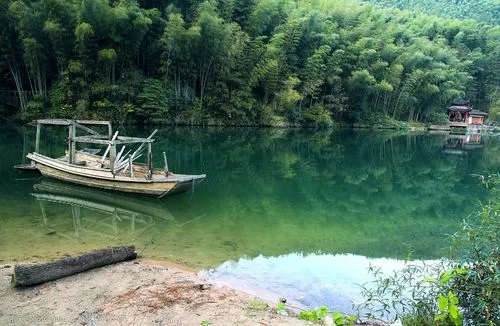 独特高端先进